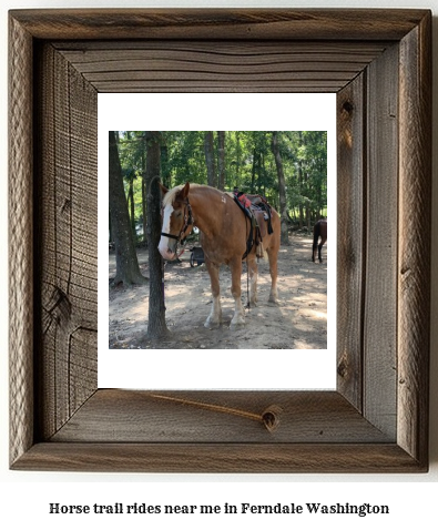 horse trail rides near me in Ferndale, Washington